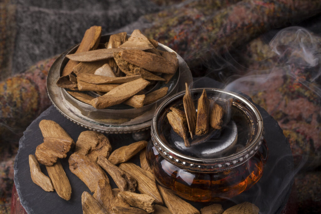 Le Oud ou bois d'agar en parfumerie